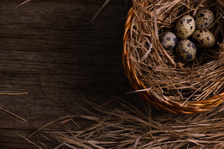quail organic eggs with straw in basket on rustic wooden background
