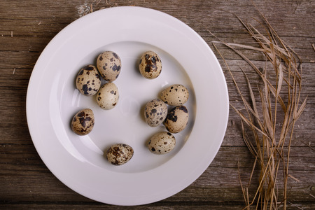 quail organic eggs on plate on rustic wooden background with strawの写真素材