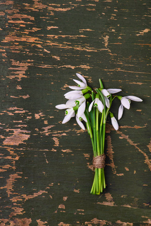 snowdrop flowers bouquet on green sharped scratched wooden rustic backgroundの写真素材