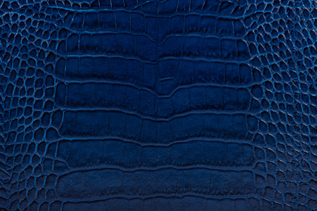 dark blue color embossed leather background textureの写真素材
