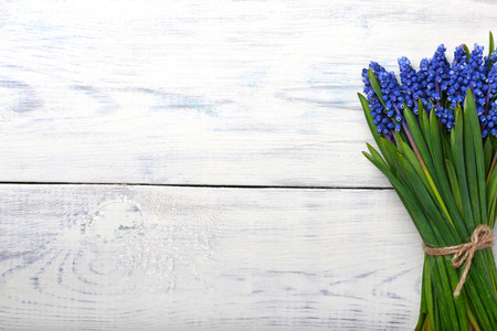 blue Muscari spring flowers bouquet on wooden table. Top view, copy space.の写真素材