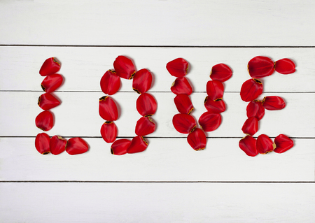 love shape of red tulip petals petals on wooden tableの写真素材