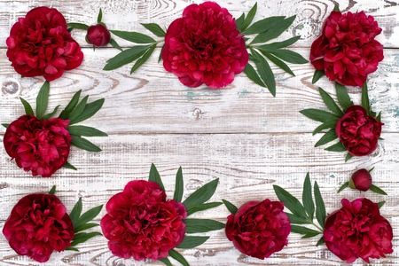 Frame made of white red Peonies flowers on the white wooden table, top viewの写真素材