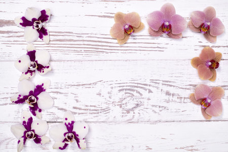 Purple orchid flowers on white wooden table, top viewの写真素材