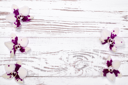 Orchid flowers on white wooden table, top viewの写真素材