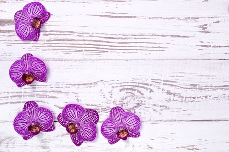 Purple orchid flowers on white wooden table, top viewの写真素材