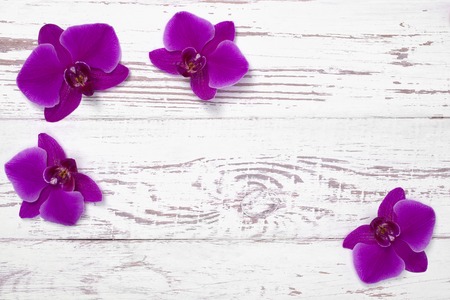 Purple orchid flowers on white wooden table, top viewの写真素材