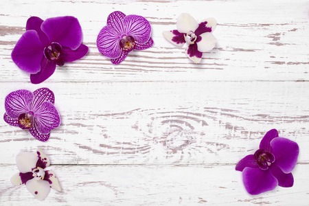 Purple orchid flowers on white wooden table, top viewの写真素材