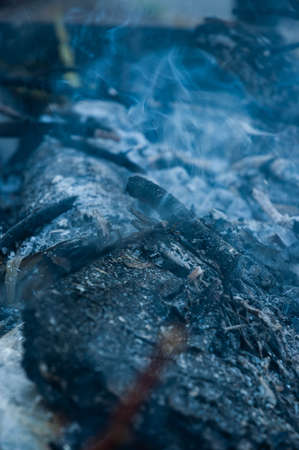 Close-up of a campfire in the forest. Bonfire in the forest.の写真素材