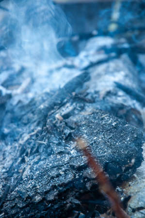 close-up of a bonfire in the forest in winter.の写真素材