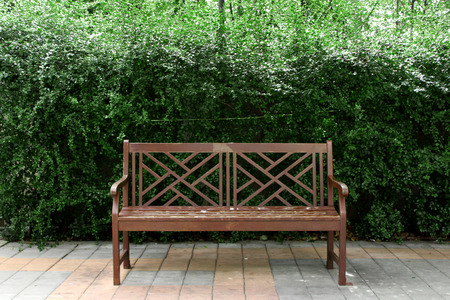 chair in parkの写真素材