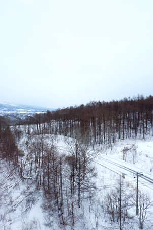 Snow white viewの写真素材