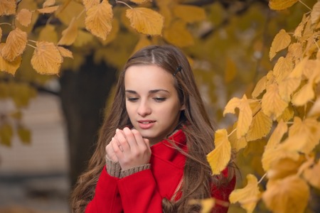The young beautiful woman walks in autumn park.の写真素材