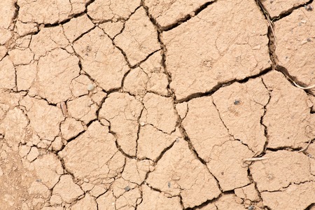 texture of the earth. small and coarse fraction. drought.の写真素材