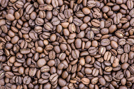 Coffee grains in the bottom of the image on a gently light backgroundの写真素材