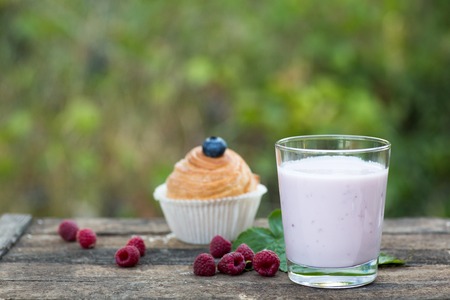 Natural yogurt with fresh berries and muffins. copy space.の写真素材