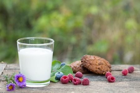 Natural yogurt with fresh berries and biscuit. copy space.の写真素材