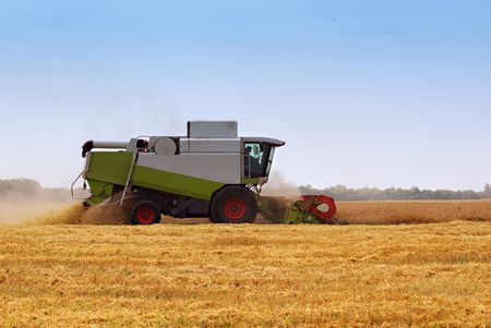 Big  combine working on the Wheat fieldの写真素材