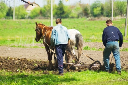 Two peasants plow the fields with horsesの写真素材