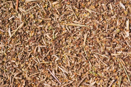 buckwheat are scattered and form a continuous texture の写真素材