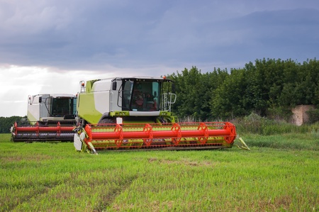Big  combine working on the Wheat fieldの写真素材
