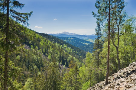 Carpathian Mountains on a sunny summer day