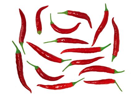 Red chilli in nature Red pepper top view Fresh food ingredients Flavoring and spices Isolated on white backgroundの写真素材