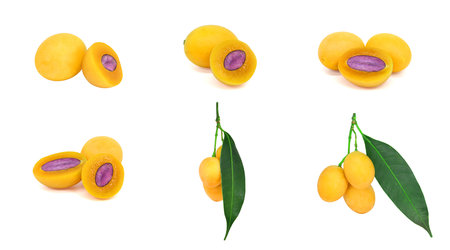 Plum Marian Set , Thai fruit is called Maprang or Mayongchid, cut in half, yellow orange, ripe,...
