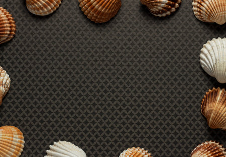 Large and small sea shells as border on dark grey ground
