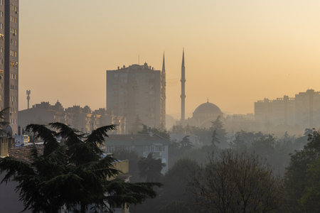 Horizontal capture of morning fog in the city Istanbul with Mosque in sceneの写真素材