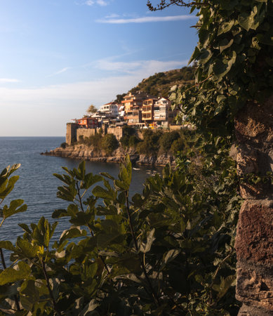 Coastal cliff view of Amasra, Turkey, featuring warm-toned houses, calm blue sea, and lush greenery in soft evening light. A serene blend of nature, history, and seaside charm.の写真素材