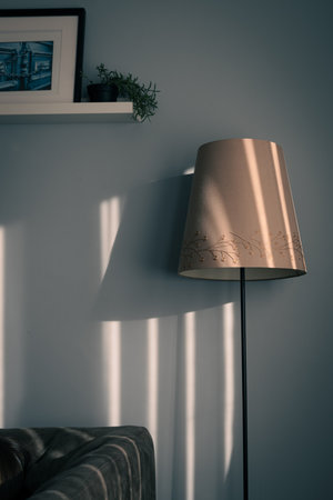 A minimalist living room corner with a standing lamp, soft blue wall, framed artwork, and a small plant on a shelf. Gentle morning sunlight casts striped shadows, creating a calm,の写真素材