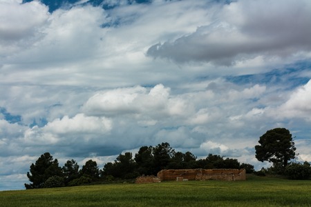 Old house on the cereal field near some trees under a cloudy blue skyの写真素材