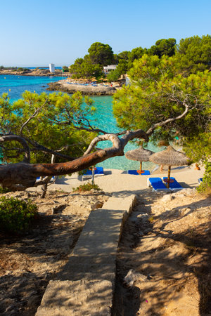 Cala Comtesa cove, Ses Illetes, Majorca, Balearic Islands, Spain. July 20th, 2022 - Stairs to the bar terrace with umbrellas at a pinewood next to the sandのeditorial素材