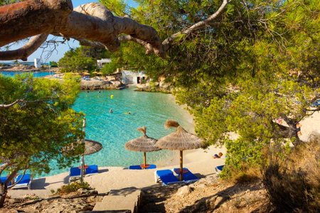Cala Comtesa cove, Ses Illetes, Majorca, Balearic Islands, Spain. July 20th, 2022 - Stairs to the bar terrace with umbrellas at a pinewood next to the sand. Translation: Balearic school of canoeingのeditorial素材