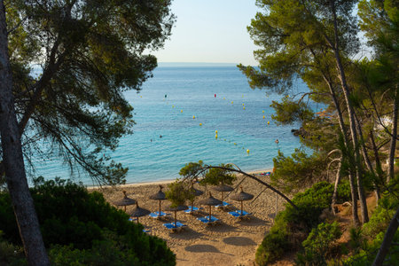 Illetes, Mallorca, Spain. July 20, 2022 - View of Comtesa cove between pines before the people arrives to the sandのeditorial素材