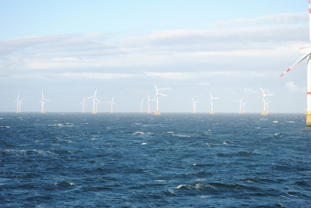 Offshore Wind Park Industry