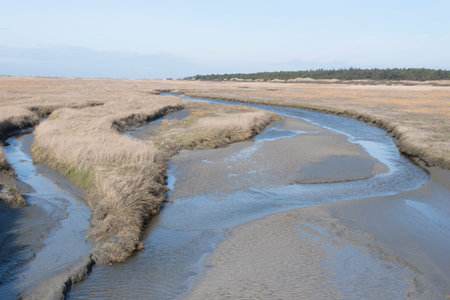 St  Peter Ordingen beach