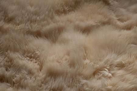 Fur backgroundの写真素材