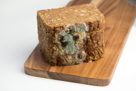Mold on foods