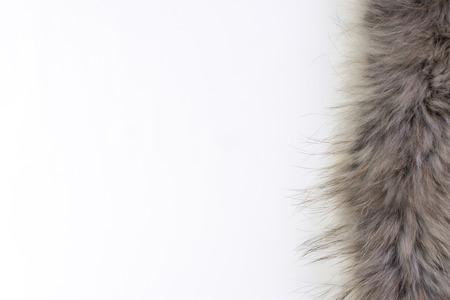 fox fur as Cut on White Backgroundの写真素材