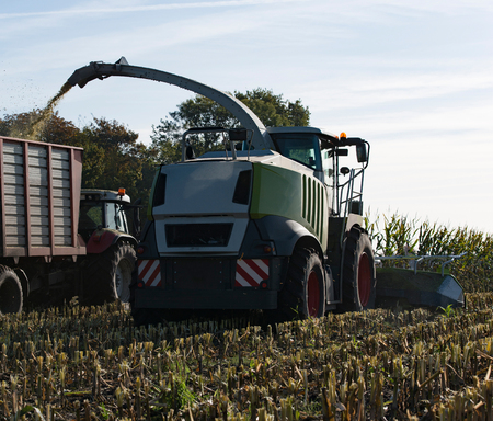 Maize harvester harvests of cornの写真素材