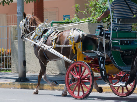 Horse-drawn carriage in Varadero Cubaのeditorial素材