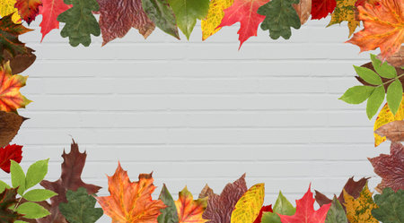 Autumn leaves on a stone wall as a background