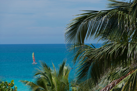 Atlantic coast with turquoise waters off Cubaの写真素材