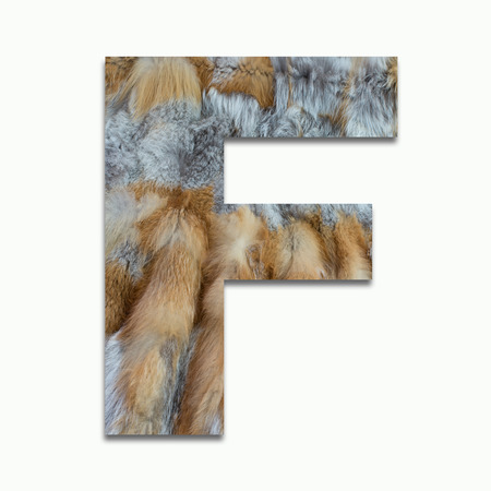 F red fox fur in a font trainedの写真素材