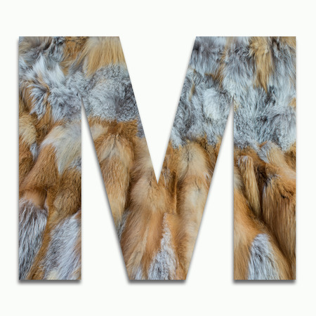 M red fox fur in a font trainedの写真素材