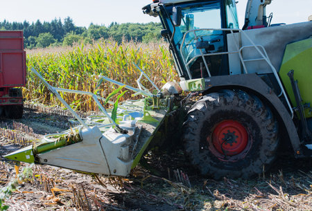 Corn harvest, corn harvester in action, harvest truck with tractor