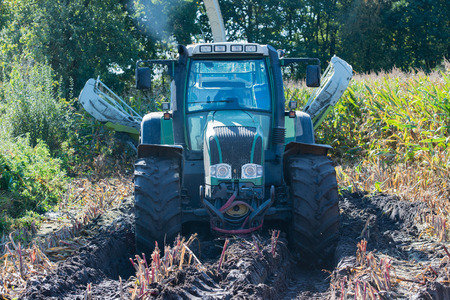 Corn harvest, corn harvester in action, harvest truck with tractorの写真素材