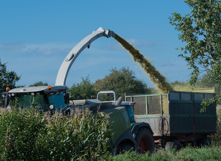 Corn harvest, corn harvester in action, harvest truck with tractorの写真素材